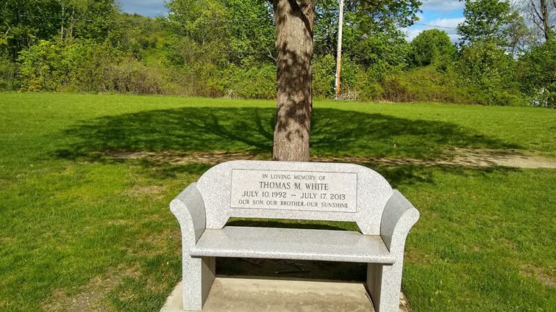 Wild Azalea Trailhead - Elmer, LA