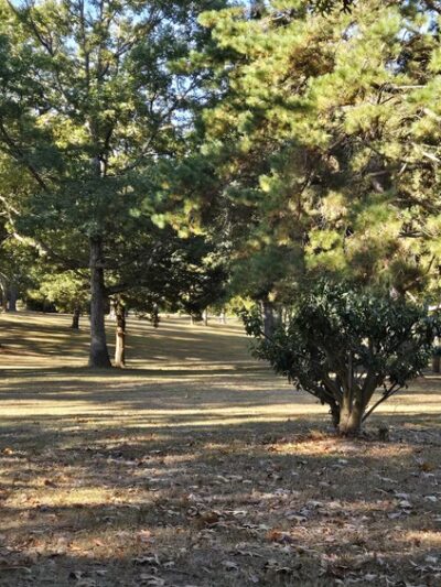 Deerpenpark - Elmer, NJ