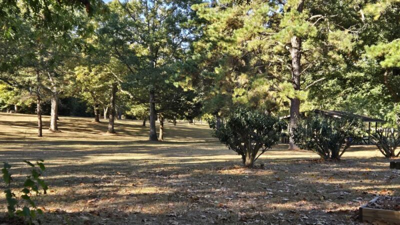 Deerpenpark - Elmer, NJ