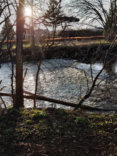 Sleepy Hollow Park - Elmhurst, IL