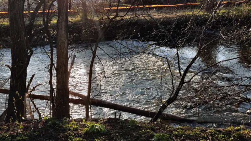 Sleepy Hollow Park - Elmhurst, IL