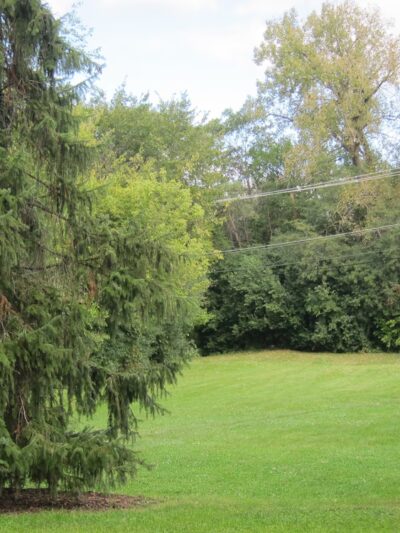 Sleepy Hollow Park - Elmhurst, IL