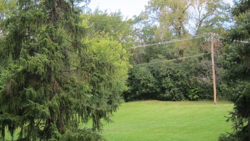 Sleepy Hollow Park - Elmhurst, IL