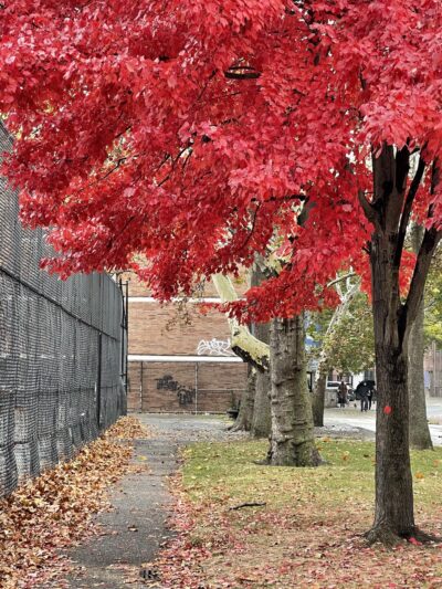Hoffman Park - Elmhurst, NY