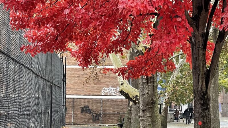 Hoffman Park - Elmhurst, NY