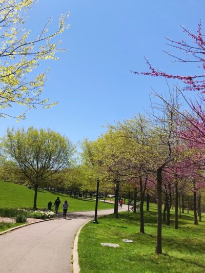 Elmhurst Park - Elmhurst, NY