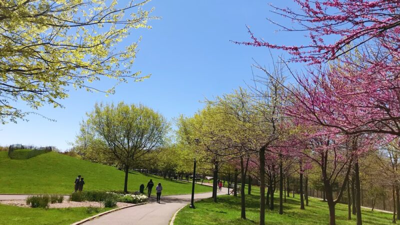 Elmhurst Park - Elmhurst, NY