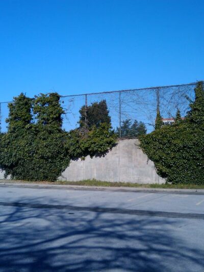 Dutch Broadway Park - Elmont, NY