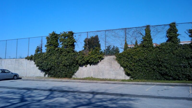 Dutch Broadway Park - Elmont, NY