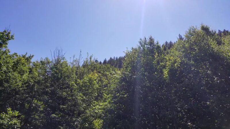Elmore State Park - Elmore, VT