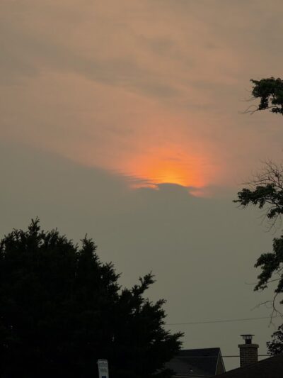 Elmwood Park - Elmwood Park, IL