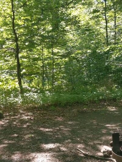 French Creek SP PA Loop A - Elverson, PA