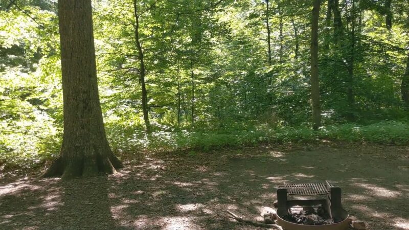 French Creek SP PA Loop A - Elverson, PA