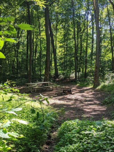 French Creek SP PA Loop A - Elverson, PA