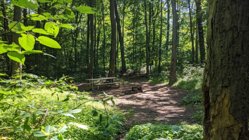 French Creek SP PA Loop A - Elverson, PA
