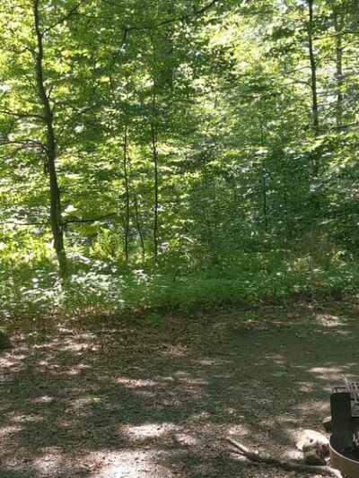 French Creek State Park Campground - Elverson, PA