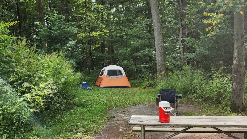 French Creek State Park Campground - Elverson, PA