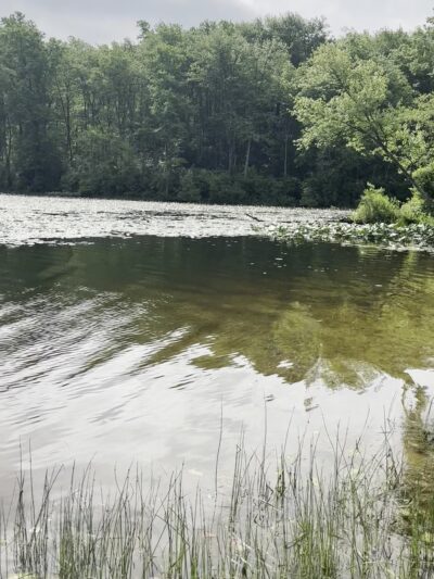 Hopewell Lake Entrance - Elverson, PA