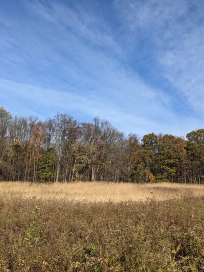 Natural Lands' Crow's Nest Preserve - Elverson, PA