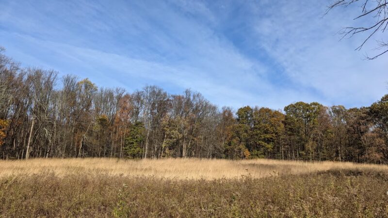 Natural Lands' Crow's Nest Preserve - Elverson, PA