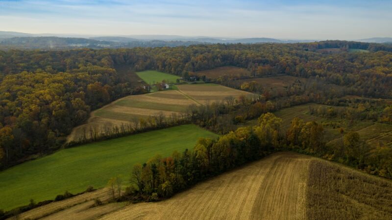 Natural Lands' Crow's Nest Preserve - Elverson, PA