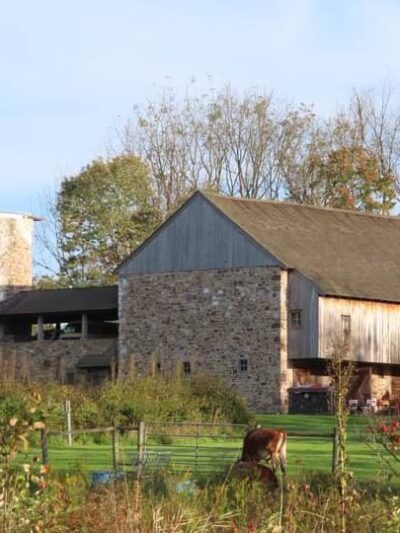 Natural Lands' Crow's Nest Preserve - Elverson, PA