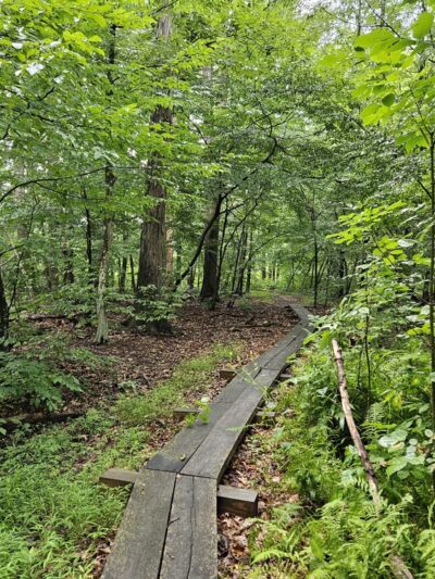 Natural Lands' Crow's Nest Preserve - Elverson, PA