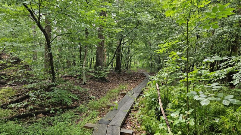Natural Lands' Crow's Nest Preserve - Elverson, PA
