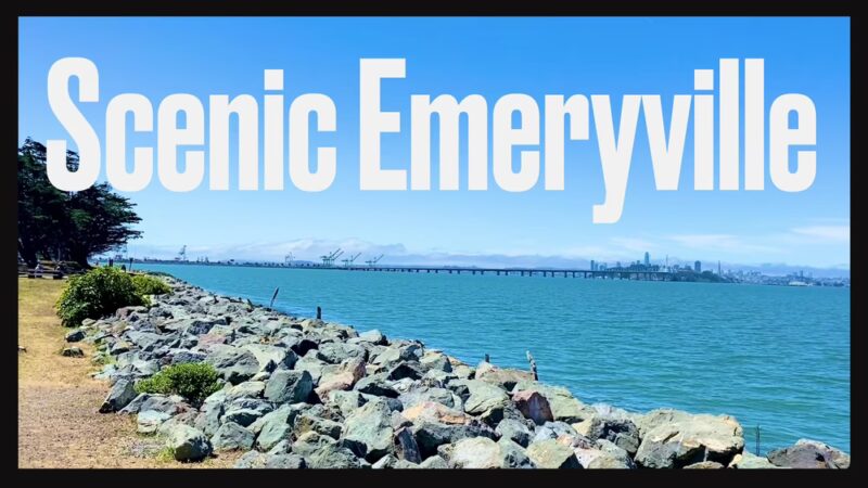 Walking Trail Surrounded by the Water - Emeryville, CA