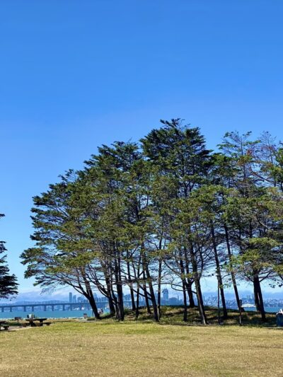 Walking Trail Surrounded by the Water - Emeryville, CA
