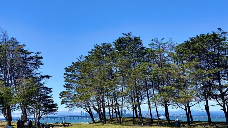 Walking Trail Surrounded by the Water - Emeryville, CA