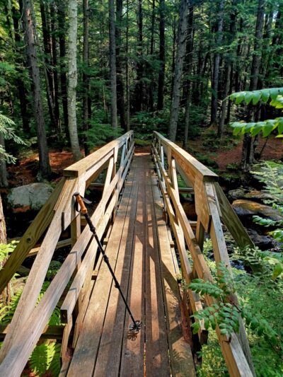 Bicknell & Colette Trails - Enfield, NH