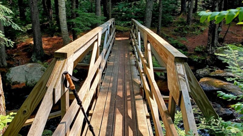 Bicknell & Colette Trails - Enfield, NH