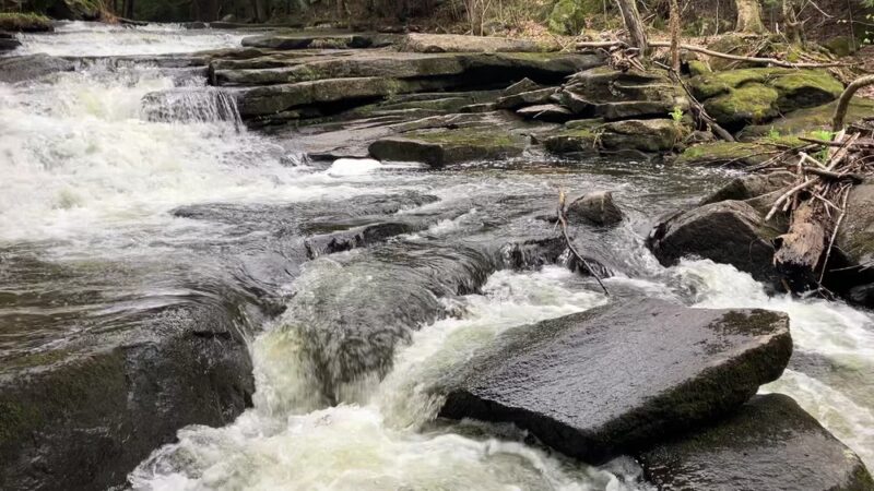 Bicknell & Colette Trails - Enfield, NH