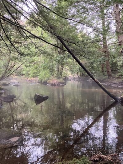 Bicknell & Colette Trails - Enfield, NH