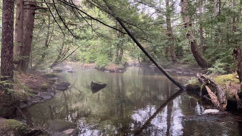 Bicknell & Colette Trails - Enfield, NH