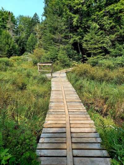 Bicknell & Colette Trails - Enfield, NH
