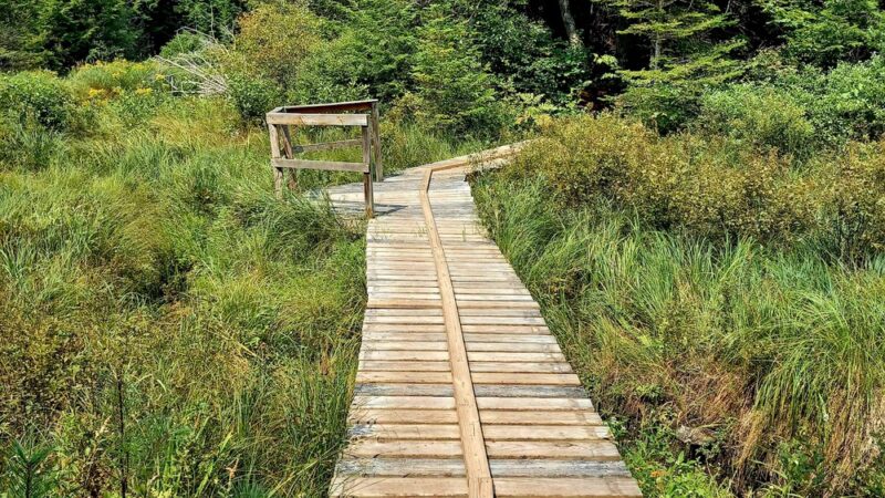 Bicknell & Colette Trails - Enfield, NH