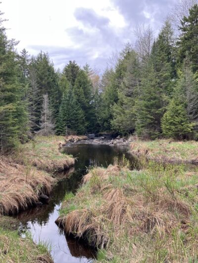 Bicknell & Colette Trails - Enfield, NH