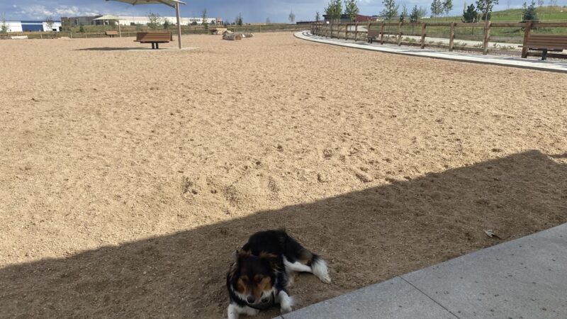 Dove valley regional park - dog park - Englewood, CO
