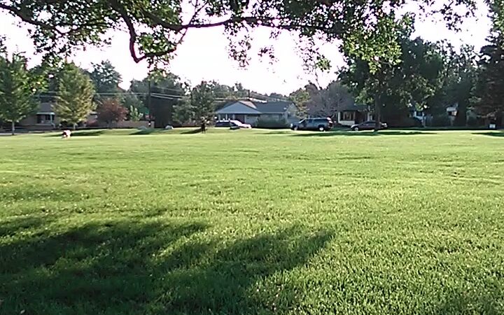 Duncan Park - Englewood, CO