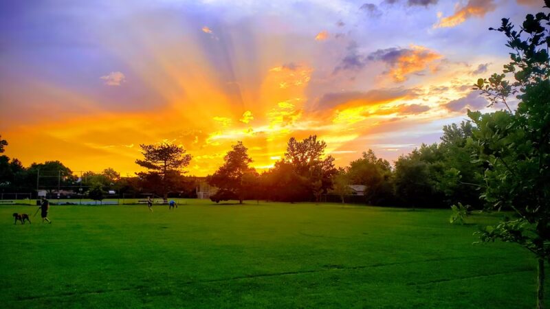 Jason Park - Englewood, CO
