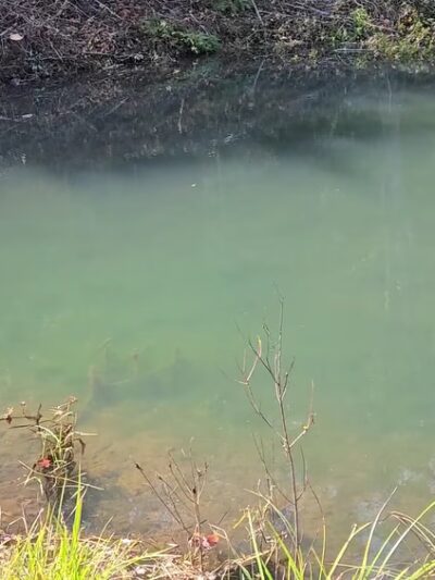 Englewood park - Englewood, TN