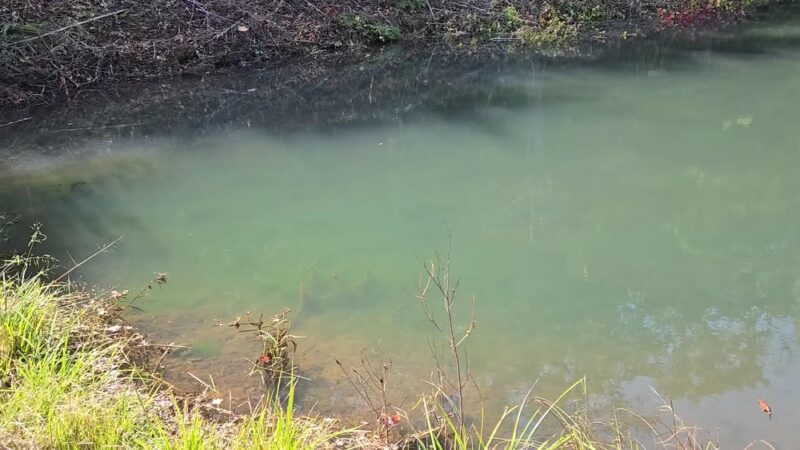 Englewood park - Englewood, TN