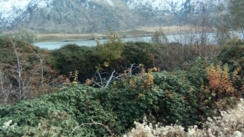 Entiat City Park- Walking Path - Entiat, WA