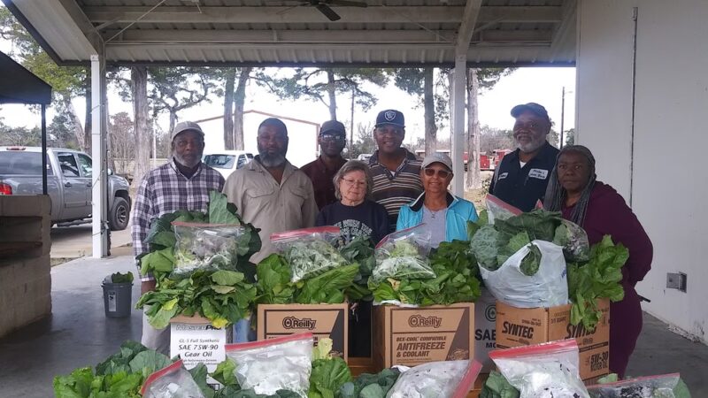 Epes Town Park - Epes, AL