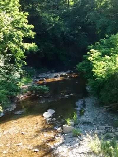 Glenwood Park - Erie, PA