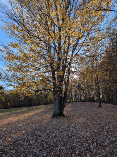 Harborcreek Community Park - Erie, PA