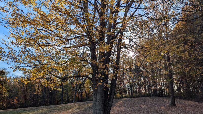Harborcreek Community Park - Erie, PA