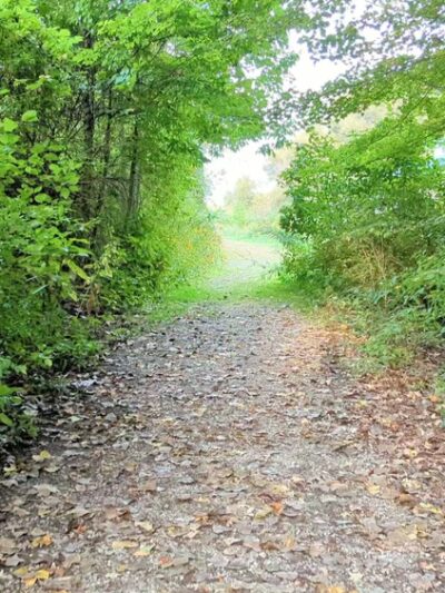 Headwaters Park - Erie, PA